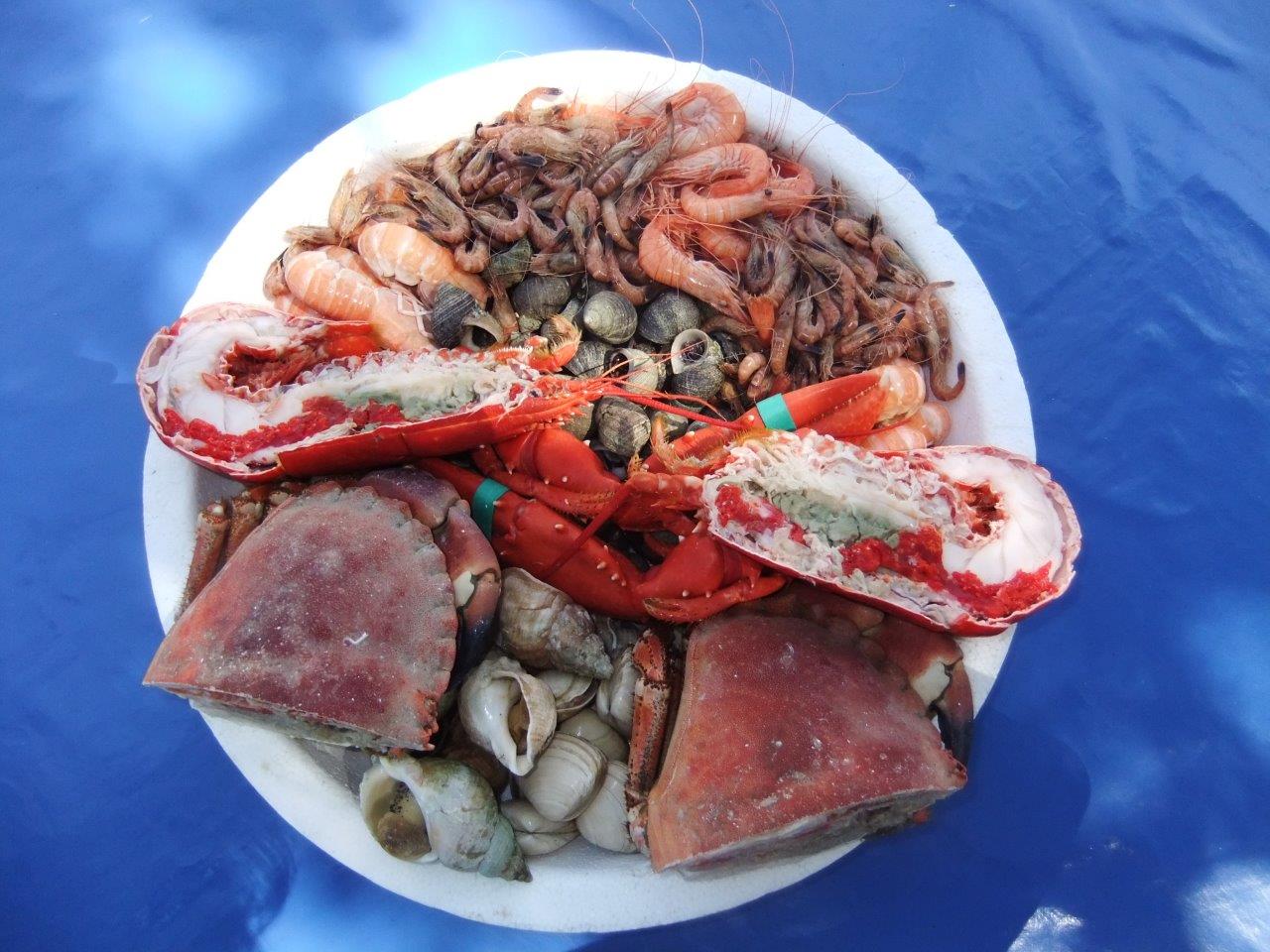 Scottish Shellfish Seafood from Scotland FAO27